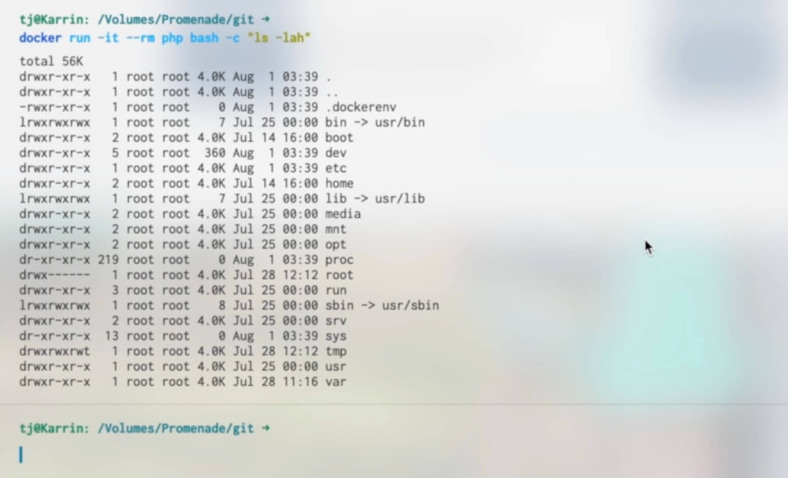 docker run ls -lah