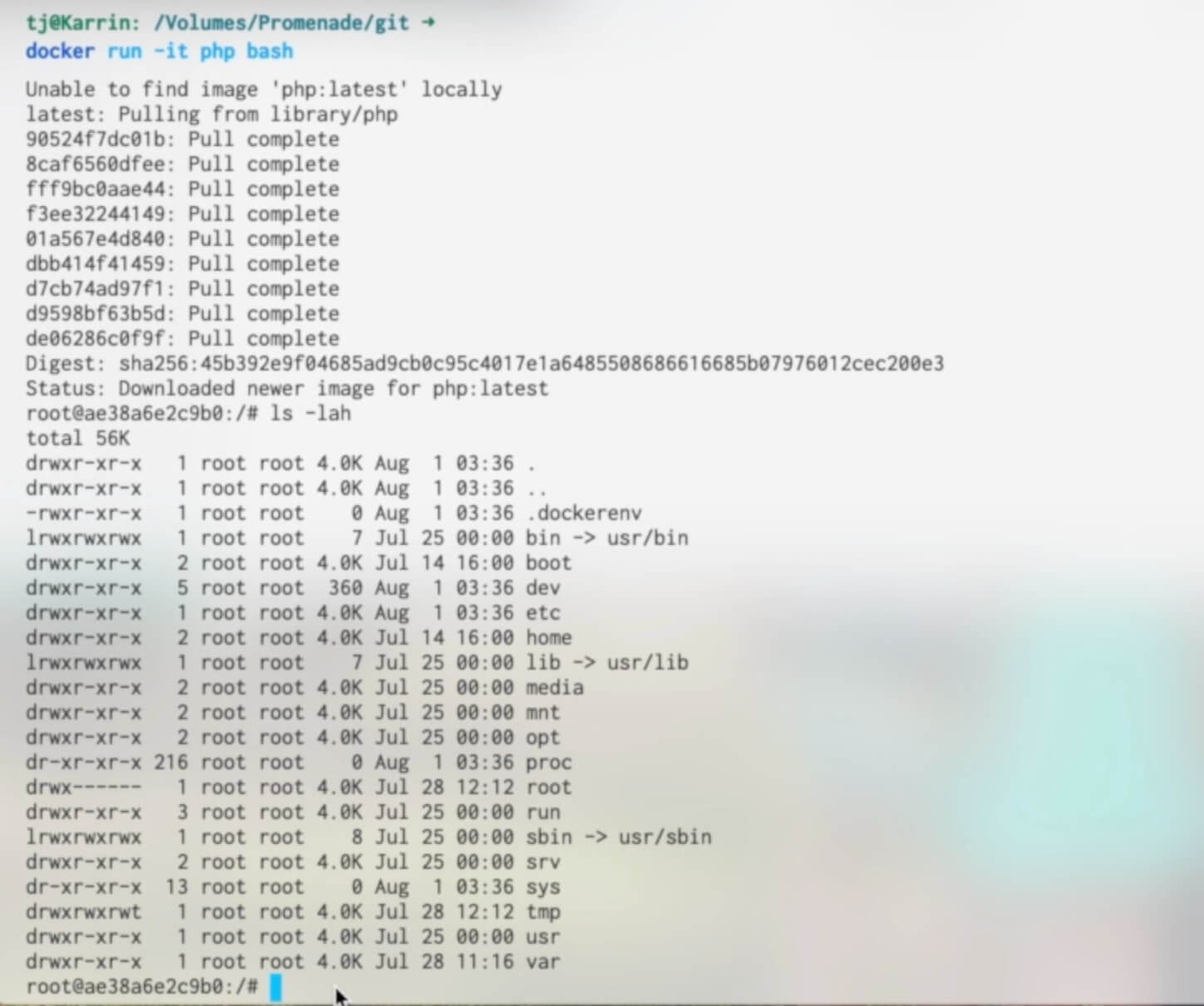 docker-run-ls.jpg